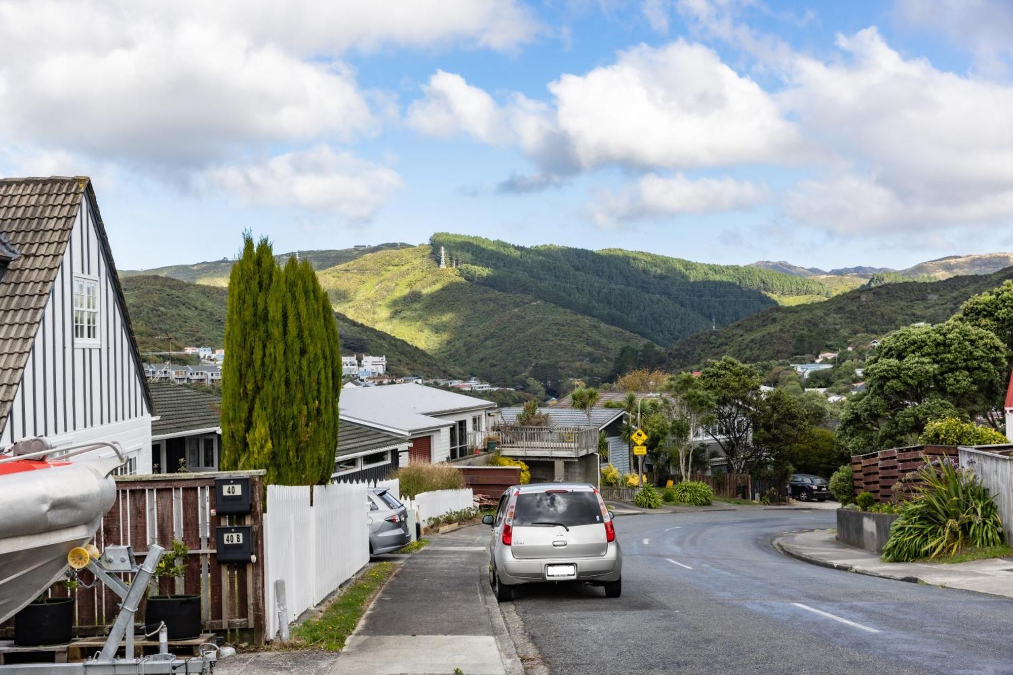 Back Garden Flat With Free On Street Parking And Fiber Wifi - 15 Mins To Ferry, Stadium, Cbd Wellington Exterior foto