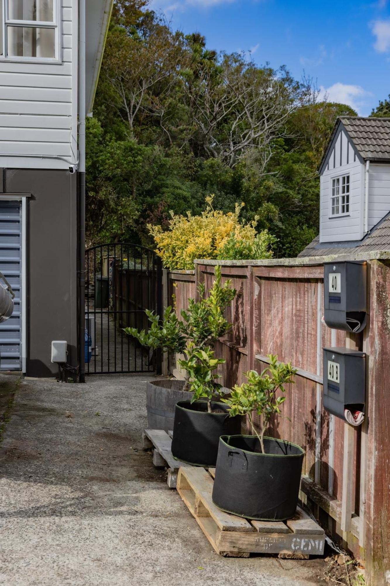 Back Garden Flat With Free On Street Parking And Fiber Wifi - 15 Mins To Ferry, Stadium, Cbd Wellington Exterior foto